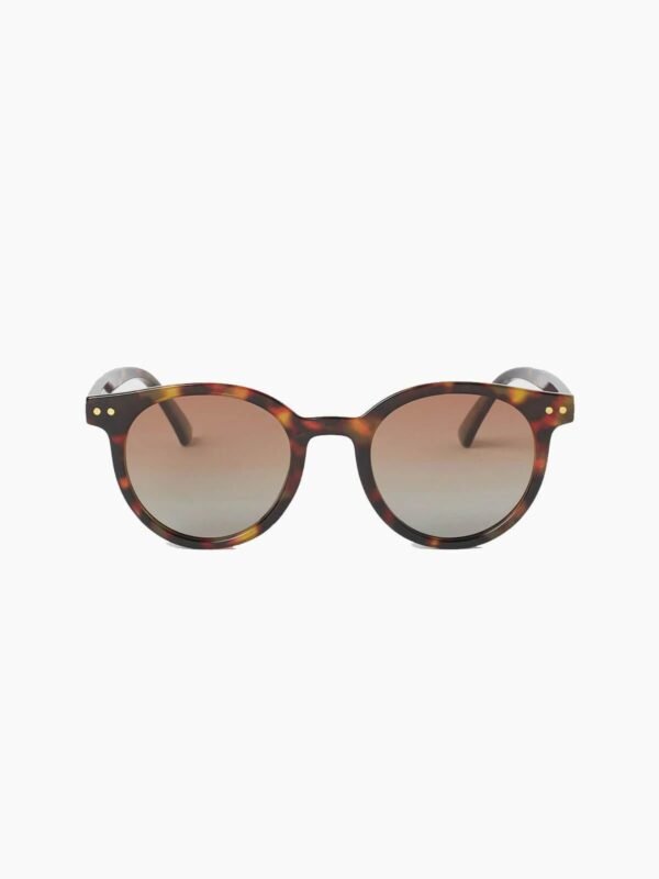 Brown shades for him